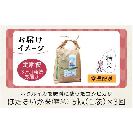 ふるさと納税 富山県 滑川市 ほたるいか米（精米５kg）×3回 計15kg