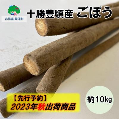 ふるさと納税 豊頃町 十勝豊頃産 ごぼう約10kg[No.5891-0460]