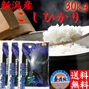 新米 無洗米 30kg 送料無料 令和5年 新潟産 コシヒカリ 無洗米 30kg 10kg×3袋 送料無料 新潟産 コシヒカリ３０キロ 送料無料 《お米 お