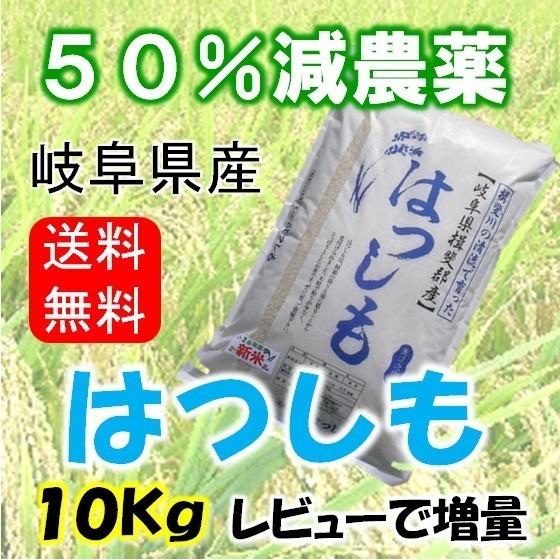 令和５年産 特別栽培米 岐阜県産 ハツシモ 白米10Kg（分搗き可）レビューで増量 北海道・沖縄・離島は追加送料