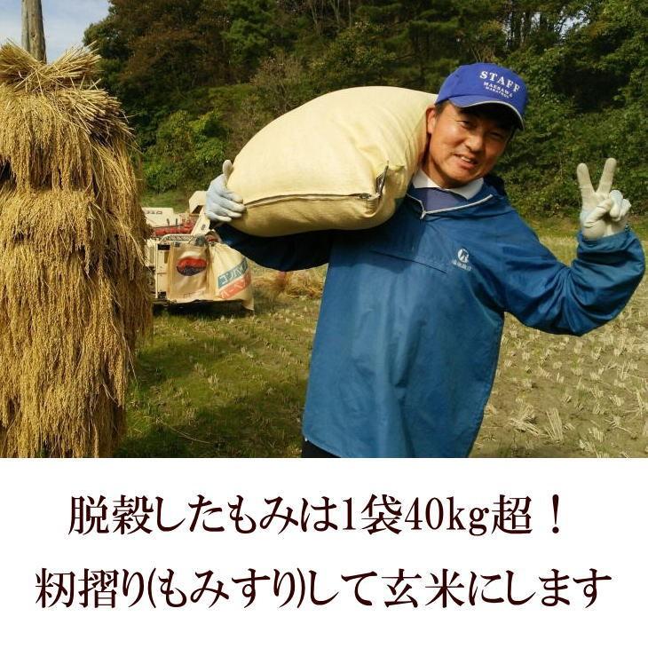 米　新米　店長が作ったお米　ひとめぼれ　5kg　天日干し　白米　玄米もOK　令和5年産米　送料無料　5キロ　天日乾燥　岩手県産　発送日当日精米