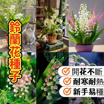 【鈴蘭花種子】 夢幻香水花！自帶浪漫靈氣，唯美庭院陽臺首選，限量優質種球，輕鬆培育幸福香氛，秒殺登場！
