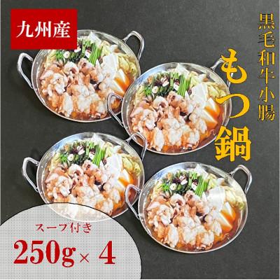 ふるさと納税 田川市 九州産ぷりぷりの小腸「割烹　もつ鍋セット」1kg(250g×4セット)