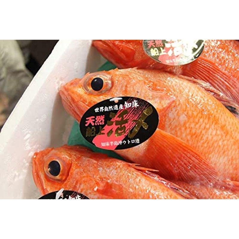 キンキ 生 鮮魚 特大サイズ 約700-800g （築地直送）北海道網走 根室産 他 きんき