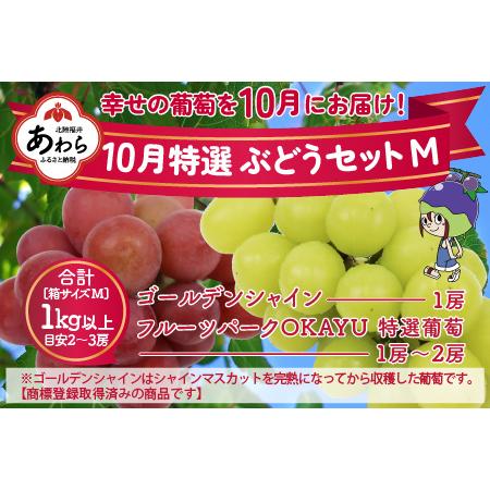 ふるさと納税 10月特選 ぶどうセットM 1kg以上（2〜3房）／ 葡萄 シャインマスカット 完熟 ゴールデン シャイン 品種 おまかせ あ.. 福井県あわら市