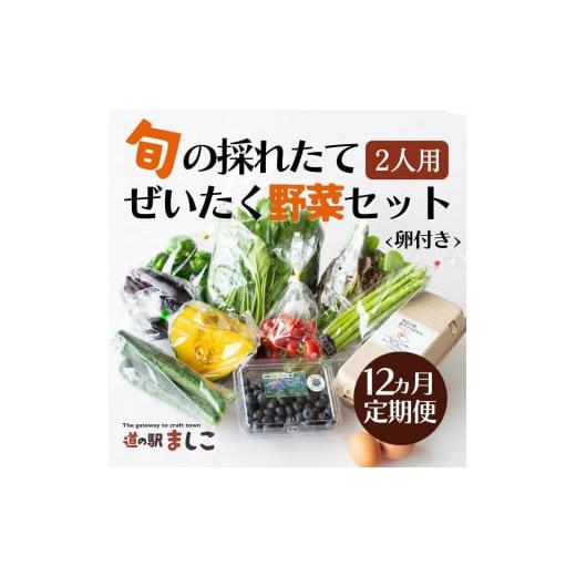 ふるさと納税 栃木県 益子町 AA004＜12か月定期便＞旬の採れたてぜいたく野菜セット（卵付き）2人用