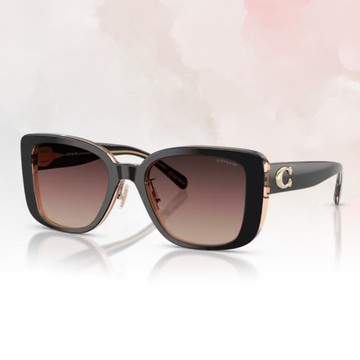 【COACH】方形膠框太陽眼鏡(HC8352-5781E2)