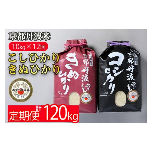 ふるさと納税 京都府 亀岡市 訳あり 定期便 新米 10kg （こしひかり 5kg ・ きぬひかり 5kg） ×12ヶ月 京都丹波米 白米 12回定期便 コシヒカリ・キヌヒカリ …