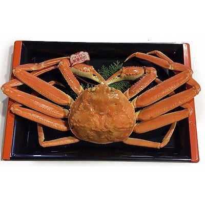 ふるさと納税 北栄町 鳥取県産タグ付きボイル松葉ガニ特大1枚(900g〜1kg)