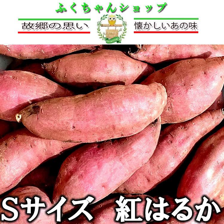 熟成　鹿児島県産さつまいも【紅はるか　Ｓサイズ　10ｋｇ