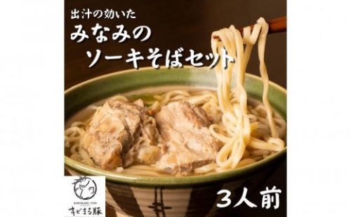 そば 生麺 みなみのソーキそば  3食セット