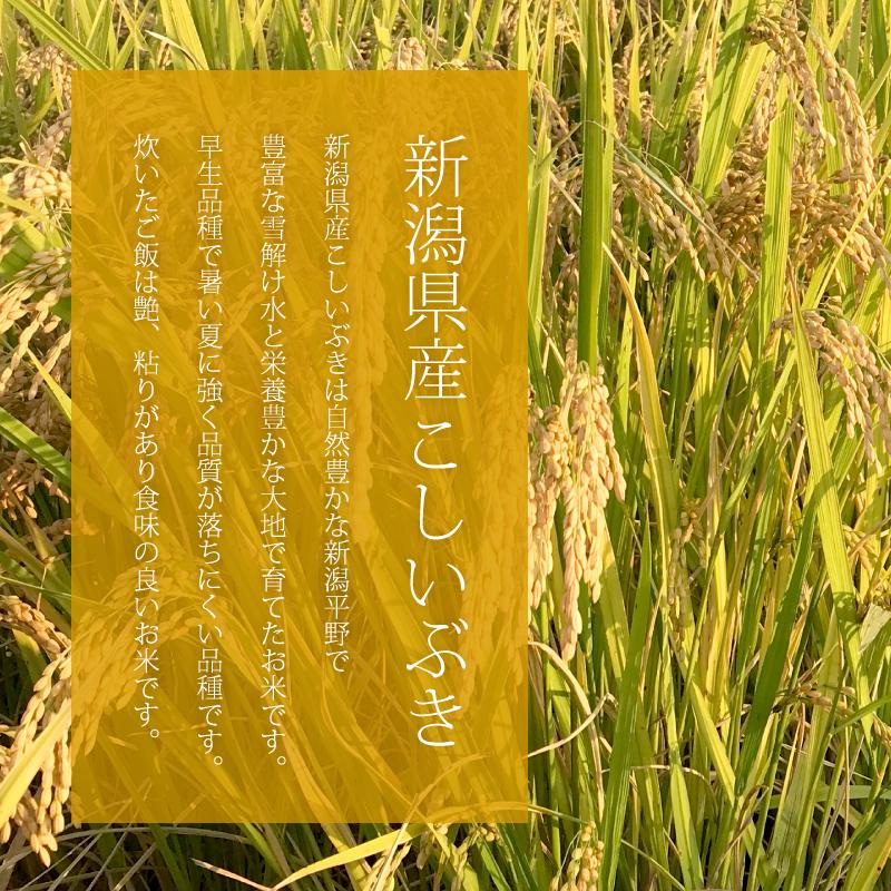 新潟県産こしいぶき 新米 白米 令和5年産 5kg 精米