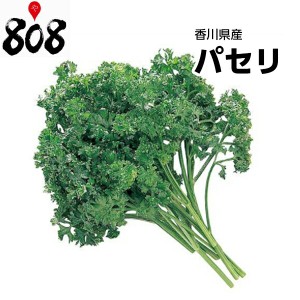 パセリ　1パック　約200g