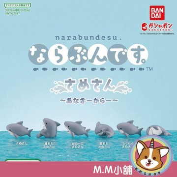 【M.M小舖】『現貨』 BANDAI 轉蛋 扭蛋 鯊魚排隊公仔 新色篇 鯊魚 排隊 公仔 海洋 生物 全6款
