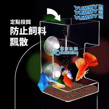【AC草影】不夾魚 壓克力餵食器 定點餵食 飼料餵食 自動餵食 魚缸餵食 水族餵食器 燈魚餵食 魚蝦餵食器 投食管