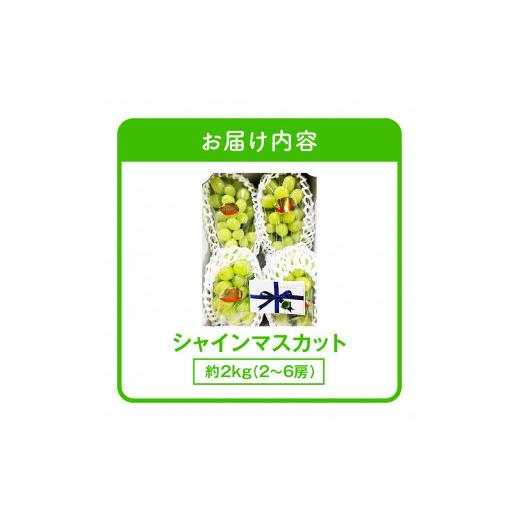 ふるさと納税 香川県 高松市 ご家庭用シャインマスカット 約 2kg ぶどう 