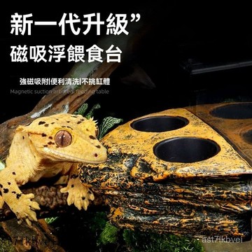 🔥免運🔥爬寵水盆食盆 爬寵餵食盆 直角食盆  寵物泡澡盆 仿真樹脂 爬蟲 蛇 烏龜食盆掛壁式爬寵爬蟲睫角守宮蜥蜴蜘蛛懸掛