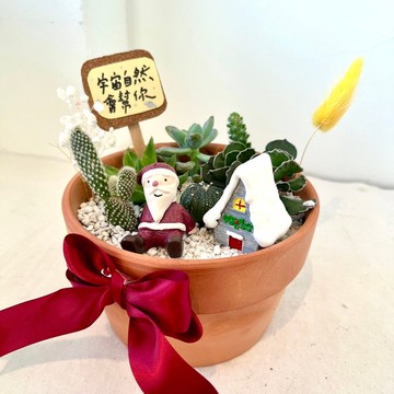 聖誕老人與雪屋 聖誕禮物 多肉組盆 多肉盆栽 微景觀盆栽 客製化