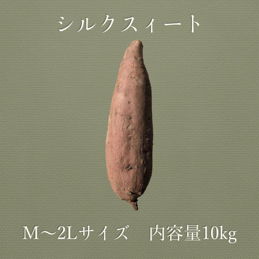 さつまいも シルクスイート 10kg 2023年産