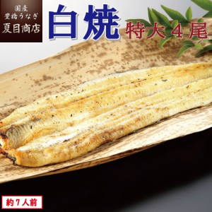 うなぎ 国産 白焼き 特大181-210g×4尾 約7人前 豊橋うなぎ ウナギ 鰻 送料無料 お歳暮 クリスマス 誕生日 プレゼント 食べ物 真空パック