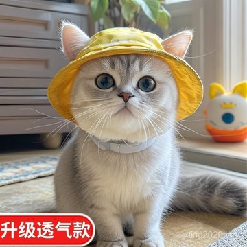 全店免運🎁小狗小貓帽子 柯基貓咪漁夫帽狗狗帽子 薄款 夏季防曬夏遮陽防勒耳朵寵物帽子