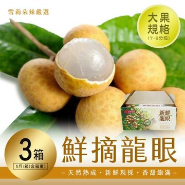 【雪莉朵辣嚴選】鮮摘龍眼大果 5斤箱X3箱