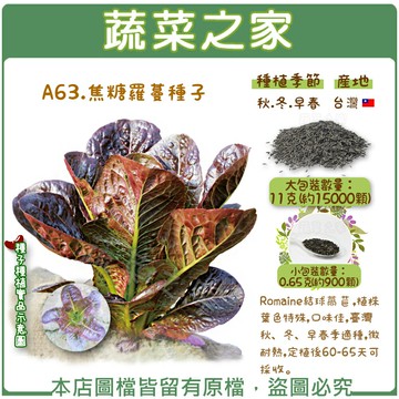 【蔬菜之家】A63.焦糖羅蔓種子(共有2種包裝可選)