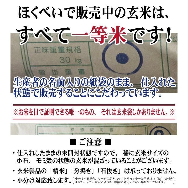 お試し玄米　令和5年産　北海道産 ふっくりんこ 玄米 900ｇ　一等米 北海道米　メール便 送料無料