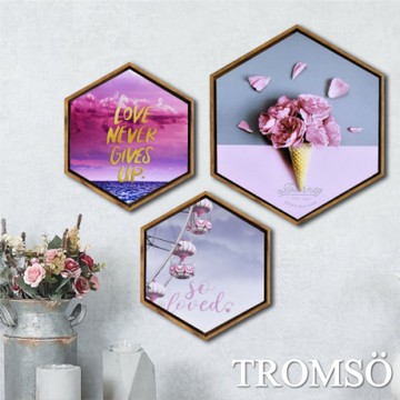 TROMSO北歐時代風尚六角有框畫-粉紅樂活WA158(三幅一組)
