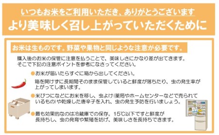 ＜予約受付 令和5年新米！＞花巻産 一等級 ひとめぼれ玄米30㎏ 