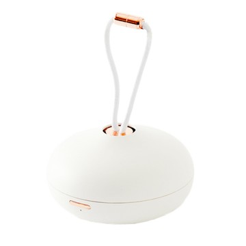 日本代購 THANKO ARDFCLCWH 精油 擴香機 擴香儀 芳香器 USB充電式 可吊掛 衣櫃 玄關 廁所 除臭