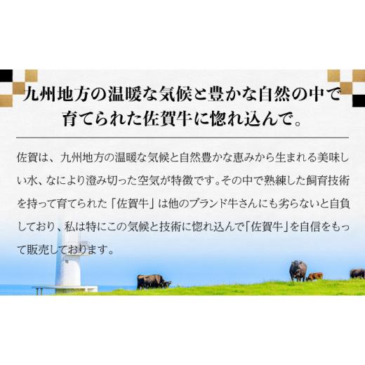 ふるさと納税 佐賀県 上峰町 佐賀牛セット 年4回定期便コース(3人前) H-194