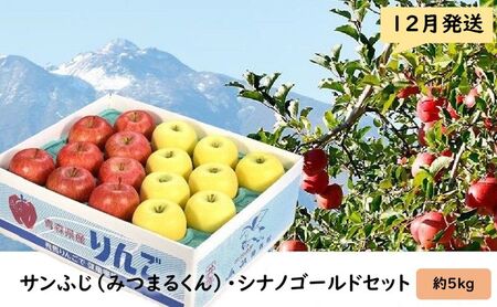 12月発送 蜜入りサンふじ（みつまるくん）・シナノゴールドセット約5kg