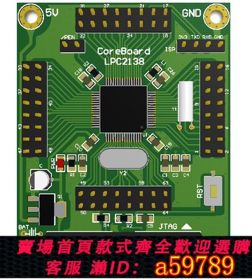 【台灣公司 可打統編】LPC2138核心板 開發板 ARM開發板 NXP單片機 LPC2000