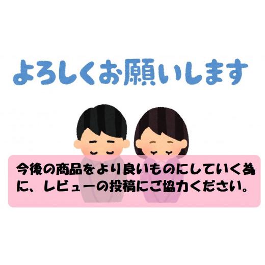 ふるさと納税 茨城県 守谷市 令和5年産茨城コシヒカリ　5kg