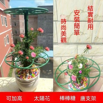 ⚡️本島直出⚽️太陽花棒棒糖支架單層多層支撐架植物造型爬藤固定太陽花架子支撐