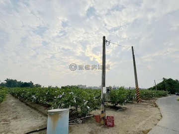 燕巢區~位置佳~超值大坪數美農地43421｜高雄市燕巢區坑口段