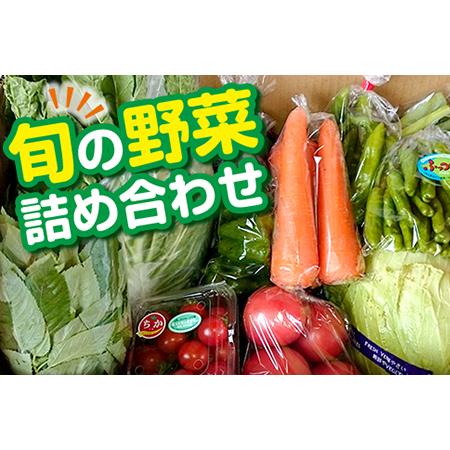 ふるさと納税 旬の野菜詰め合わせBOX 千葉県富津市