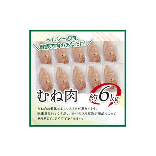 ふるさと納税 宮崎県 川南町 宮崎県産若鶏むね肉 小分けで約6kg 肉 鶏  鶏肉