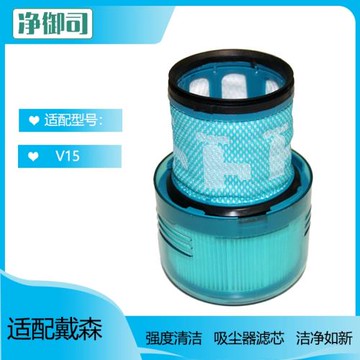 適配dyson戴森無線吸塵器配件濾芯V15 total clean后置濾芯過濾網