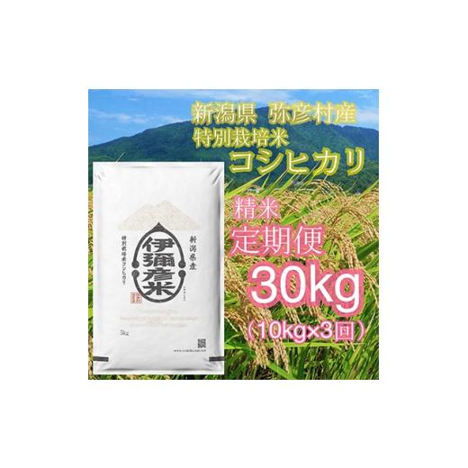 ふるさと納税 新潟県 弥彦村 ＜毎月定期便＞特別栽培米コシヒカリ「伊彌彦米」10kg全3回