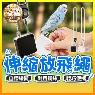 【小寵王國】伸縮放飛繩 鸚鵡牽繩 鸚鵡放飛繩 鸚鵡放飛繩索 自動回收繩 遛鳥繩 鳥類外出繩 遛鳥神器 外出牽引繩 鳥用品