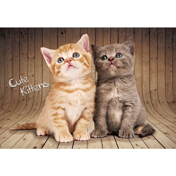 HC - 寵物系列-Cute Kittens 台灣製 300片拼圖 300S-005