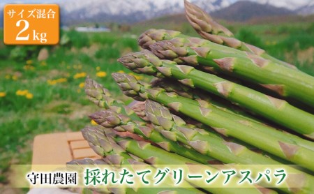 北海道 ふらの グリーン アスパラガス 約2kg サイズ混合 (守田農園)