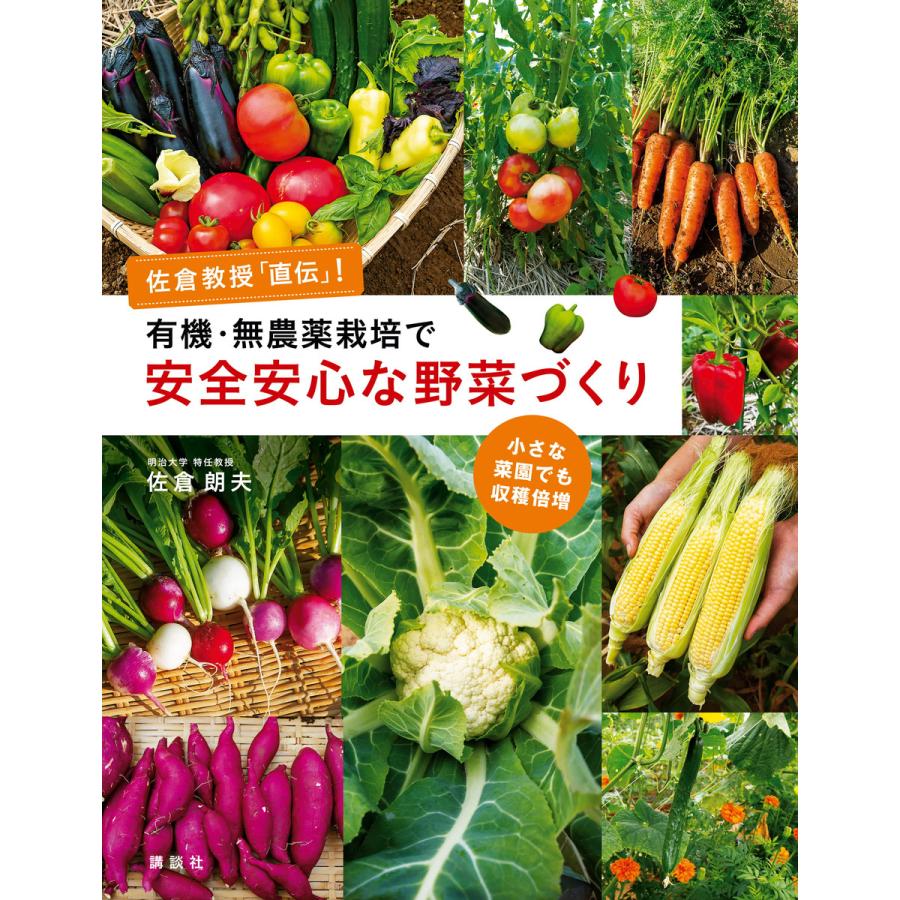 有機・無農薬栽培で安全安心な野菜づくり 佐倉教授 直伝 小さな菜園でも収穫倍増