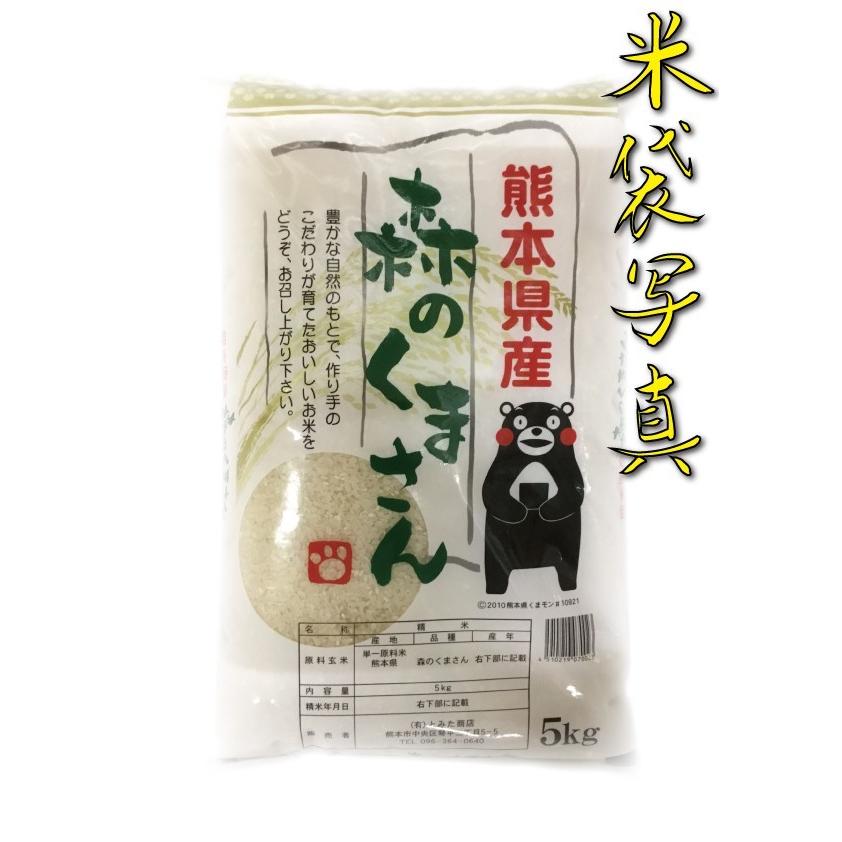 お米 米 10kg 白米 送料無料 熊本県産 森のくまさん あすつく 新米 令和5年産 5kg2個 くまモン くまもとのお米 富田商店 とみた商店