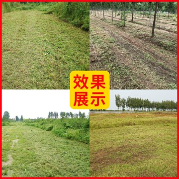 柴油遙控割草機果園履帶除草機草坪邊坡打草機園林開荒汽油碎草機