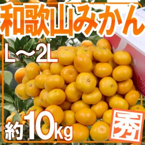 ”和歌山みかん” 秀品 L～2Lサイズ 約10kg 送料無料