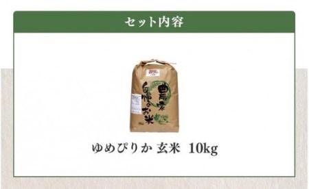 伊藤農園の特別栽培米ゆめぴりか 玄米（10kg）
