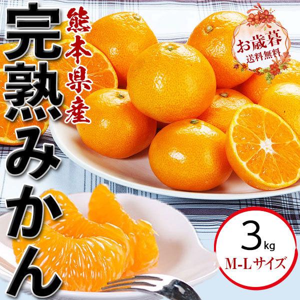 完熟 みかん 3kg 1箱 贈答用 M-L サイズ混合 ギフト 熊本県産 フルーツ 果物 オレンジベルト お取り寄せ 送料無料